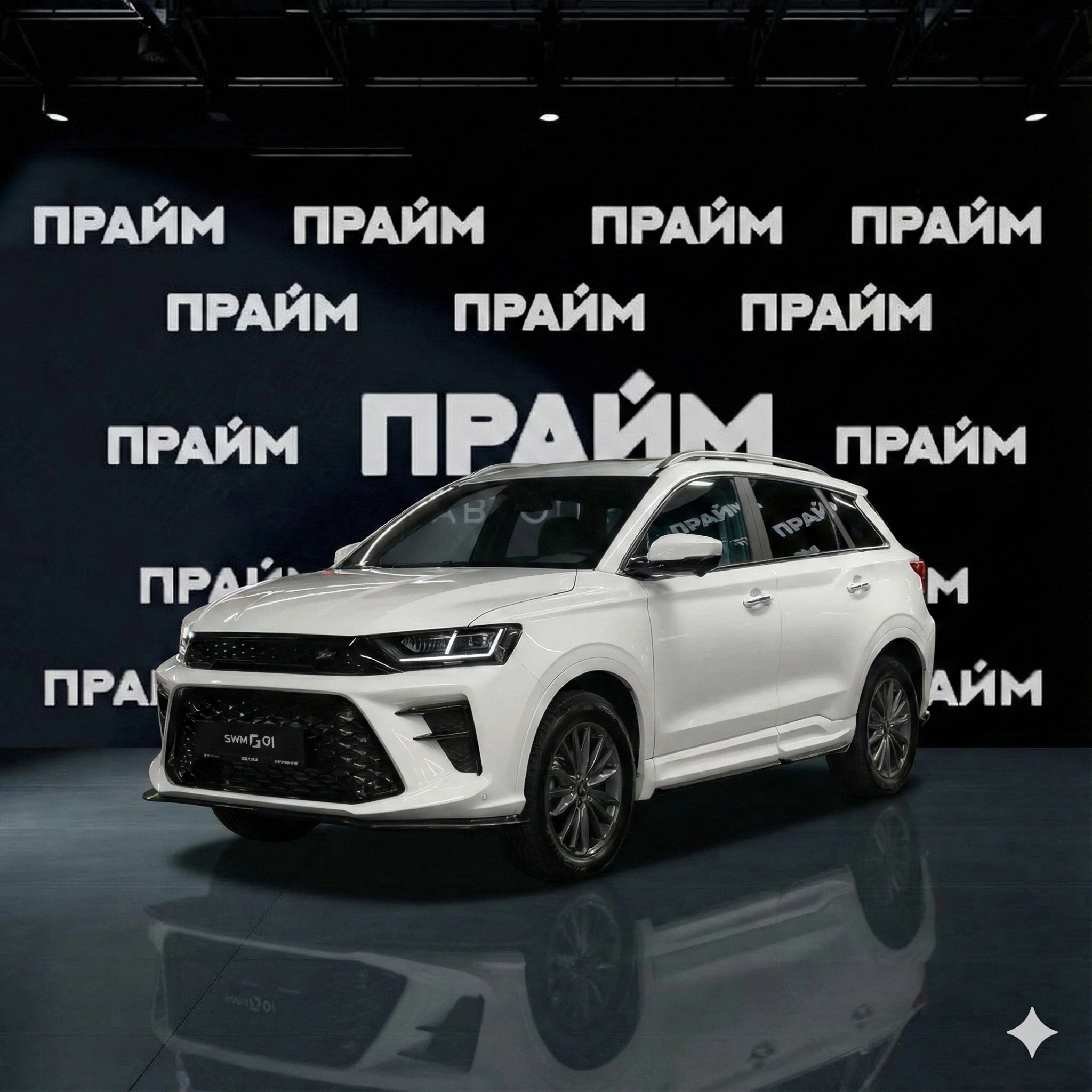 SWM SWM G01F